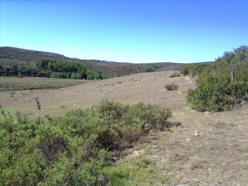 0 Bedroom Property for Sale in Stilbaai Rural Western Cape